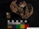 L_V20d4048 A16q22 R827 dM la f24.JPG L_V20d4048 A16q22 R827 dM la f24